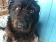 Meg