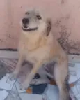 Mel 