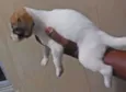NÃO TEM