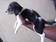 NÃO TEM