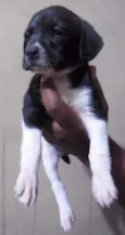 NÃO TEM