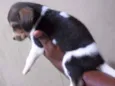 NÃO TEM
