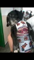Lola