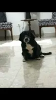 Lola
