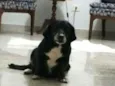Lola