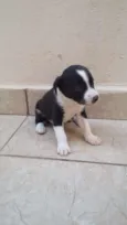 Estao sem nome