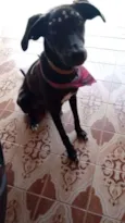 Menina