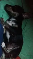Princesa