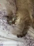 BILLY