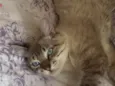 BILLY