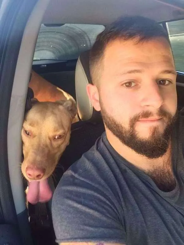 Cachorro ra a viralata idade 2 anos nome Cusco
