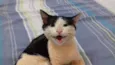Tom