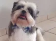 Jimmy