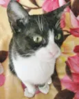 CARLOTINHA