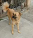 Sofia