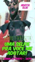 Beretta