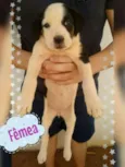 Sem Nome