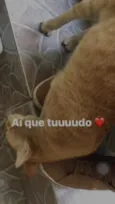 Fred