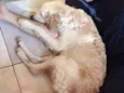 Maya e nayla