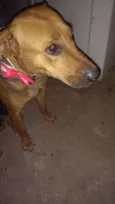 Nina