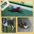 JOHN