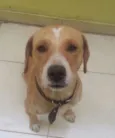 Marley