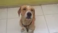 Marley