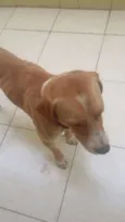 Marley