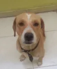 Marley