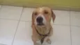 Marley