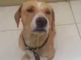 Marley