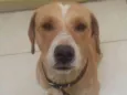 Marley