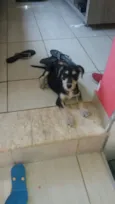 Sofia