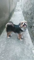 Nina