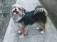 Nina