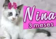Nina