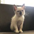 Lili