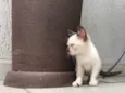 Lili