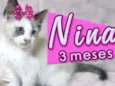 Nina