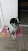 Lili