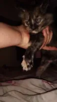 Lili