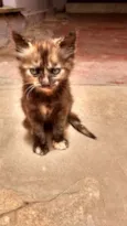 Lili