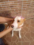 Lola
