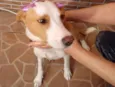 Lola