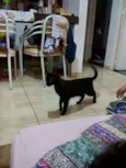 Benguela 