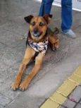 Princesa