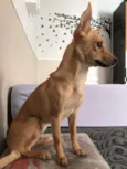 princesa