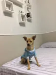 princesa
