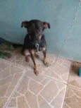 Tom