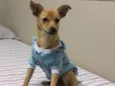 princesa